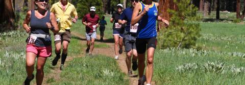 Burton Creek Trail Run Tahoe Rental Company