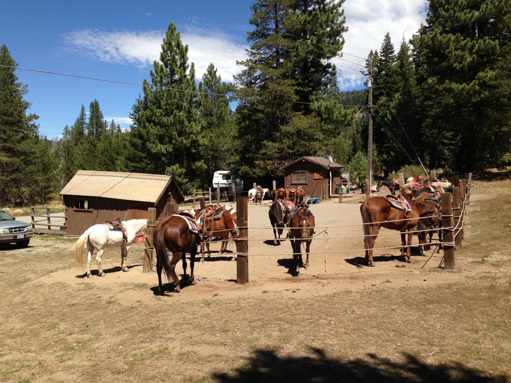 Alpine Meadows Stables | Tahoe Rental Company