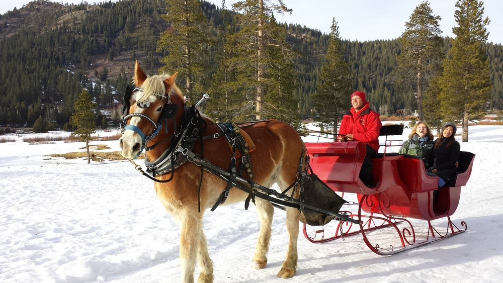 Horse Drawn Carriage Rides - Harbor View Hotel